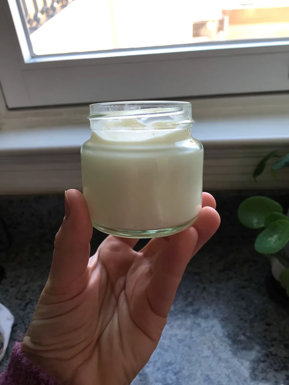 A hand holding a small unlabelled glass jar of pale cream up toward a bright kitchen window.